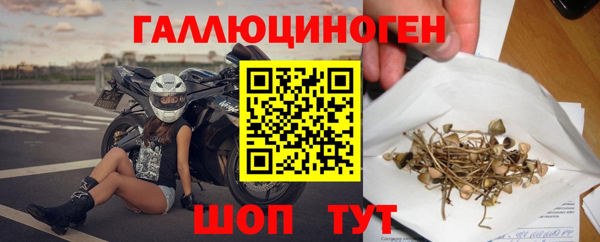 Галлюциногенные грибы Cubensis Комсомольск-на-Амуре