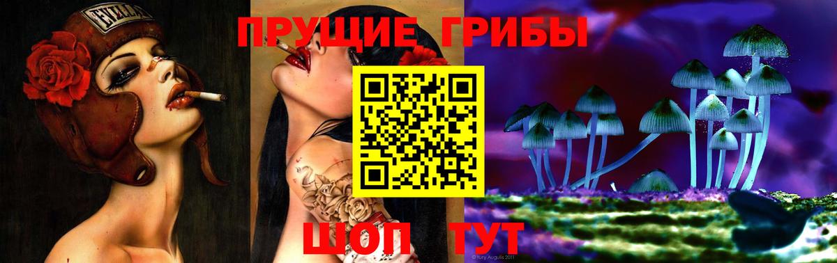 Комсомольск-на-Амуре  Псилоцибиновые грибы GOLDEN TEACHER  Псилоцибиновые грибы мухоморы  Вход с VPN 